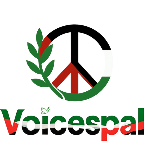  VoicesPal 